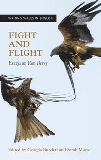 bokomslag Fight and Flight