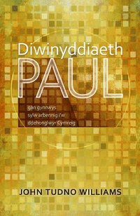 bokomslag Diwinyddiaeth Paul