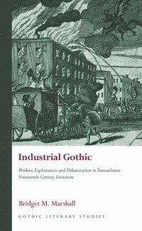 bokomslag Industrial Gothic