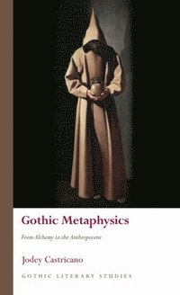 bokomslag Gothic Metaphysics
