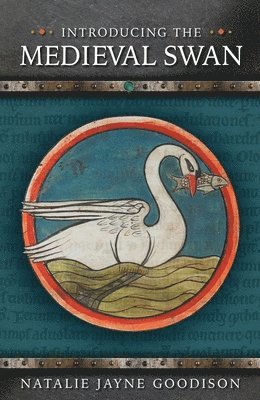 Introducing the Medieval Swan 1