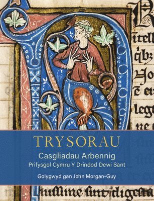 bokomslag Trysorau: Casgliadau Arbennig Prifysgol Cymru Y Drindod Dewi Sant