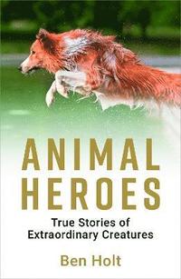 bokomslag Animal heroes - true stories of extraordinary creatures