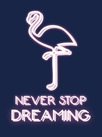 bokomslag Never Stop Dreaming