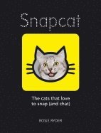 Snapcat - the cats who love to snap (and chat)