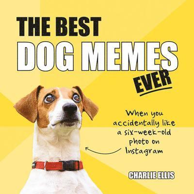 The Best Dog Memes Ever 1