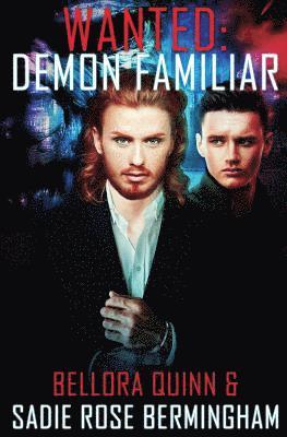 Demon Familiar