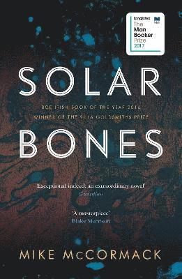 bokomslag Solar Bones