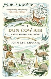 bokomslag The Dun Cow Rib