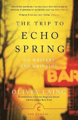 bokomslag The Trip to Echo Spring