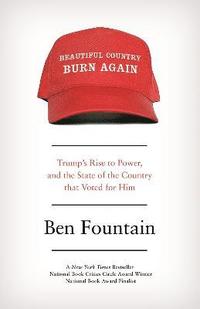 bokomslag Beautiful Country Burn Again: Trump's Rise to Power and the State of the Country that Voted for Him