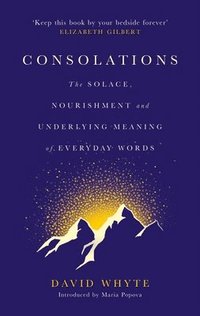 bokomslag Consolations: The Solace, Nourishment and Underlying Meaning of Everyday Words