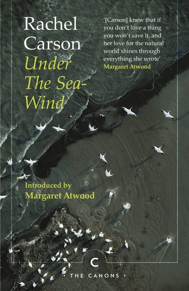 Rachel Carson - Under the Sea-Wind, Häftad
