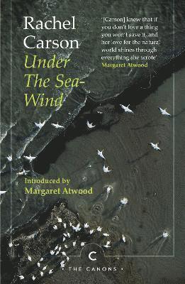 Under the Sea-Wind 1