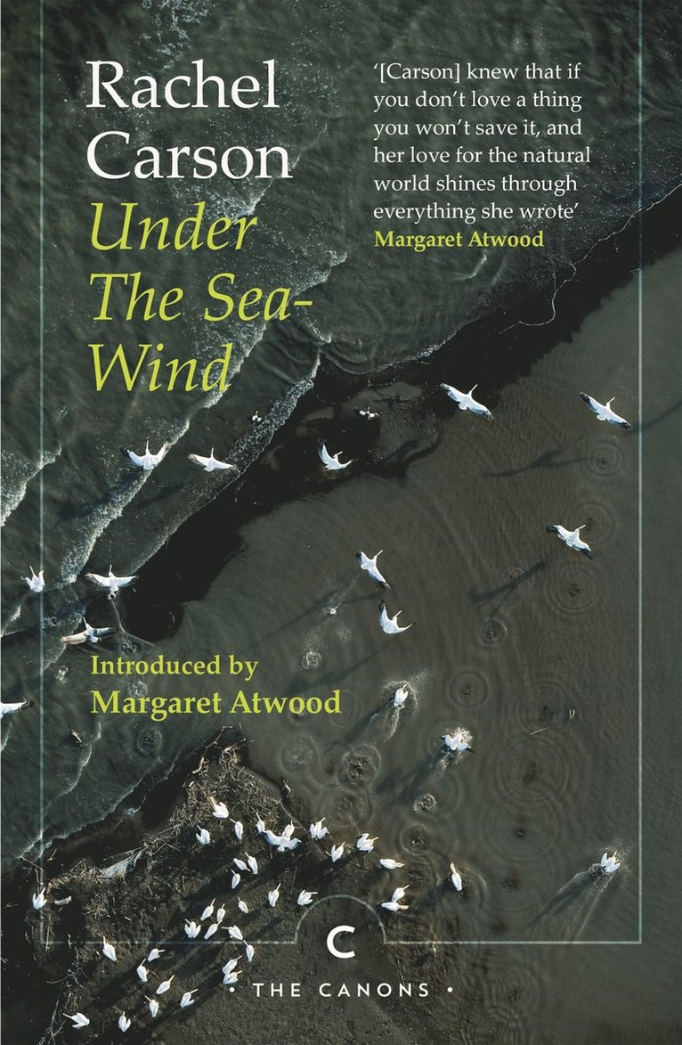 Rachel Carson - Under the Sea-Wind, Häftad