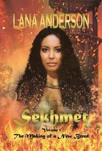 bokomslag Sekhmet