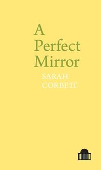 bokomslag A Perfect Mirror