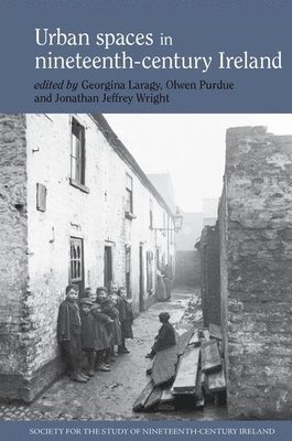 bokomslag Urban spaces in nineteenth-century Ireland