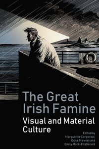 bokomslag The Great Irish Famine