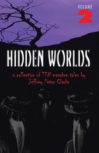 bokomslag Hidden Worlds - Volume 2