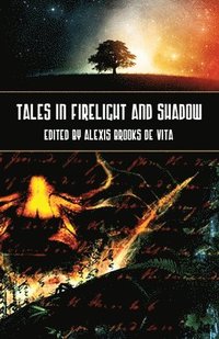 bokomslag Tales in Firelight and Shadow