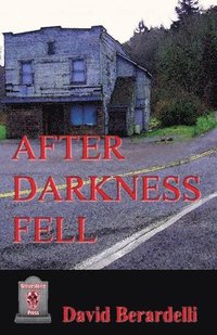 bokomslag After Darkness Fell