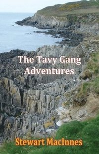 bokomslag The Tavy Gang Adventures