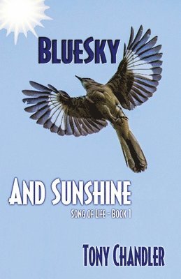 Tony Chandler - Bluesky and Sunshine (Song of Life - Book 1), Häftad