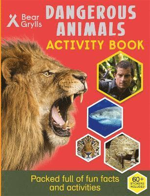 bokomslag Bear Grylls Sticker Activity: Dangerous Animals