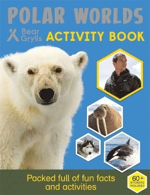 bokomslag Bear Grylls Sticker Activity: Polar Worlds