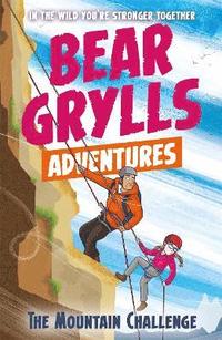 bokomslag A Bear Grylls Adventure 10: The Mountain Challenge