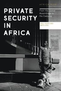 bokomslag Private Security in Africa