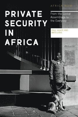 Private Security in Africa 1