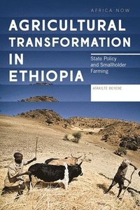 bokomslag Agricultural Transformation in Ethiopia