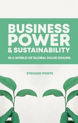 bokomslag Business, Power and Sustainability in a World of Global Value Chains