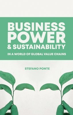 Business, Power and Sustainability in a World of Global Value Chains 1