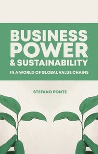 bokomslag Business, Power and Sustainability in a World of Global Value Chains