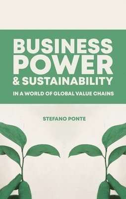 bokomslag Business, Power and Sustainability in a World of Global Value Chains
