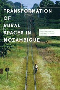 bokomslag Transformations of Rural Spaces in Mozambique