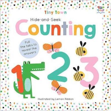 bokomslag Hide-and-Seek Counting