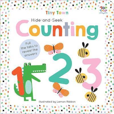 Hide-and-Seek Counting 1