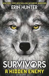 bokomslag Survivors Book 2: A Hidden Enemy