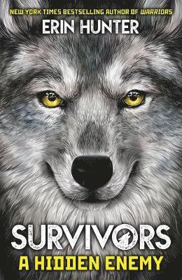 bokomslag Survivors Book 2: A Hidden Enemy