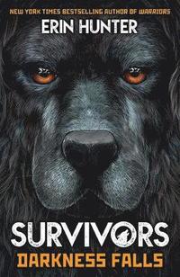 bokomslag Survivors Book 3: Darkness Falls