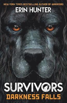 Survivors Book 3: Darkness Falls 1