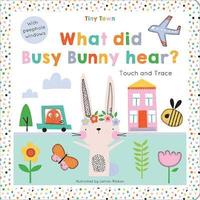 bokomslag What did Busy Bunny hear?