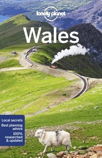 bokomslag Lonely Planet Wales