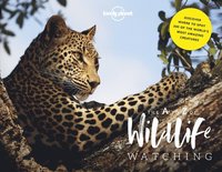 bokomslag Lonely Planet's A-Z of Wildlife Watching
