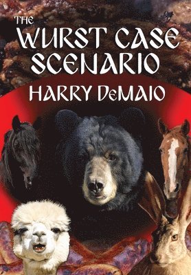 bokomslag Wurst Case Scenario (Octavius Bear Book 11)