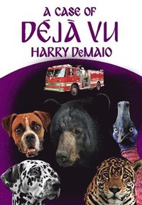 bokomslag A Case of Dj Vu (Octavius Bear Book 13)